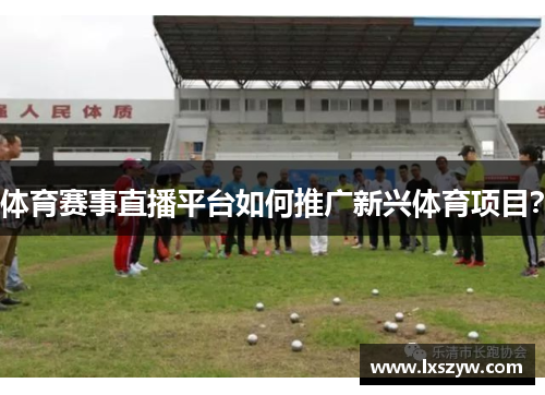 体育赛事直播平台如何推广新兴体育项目？