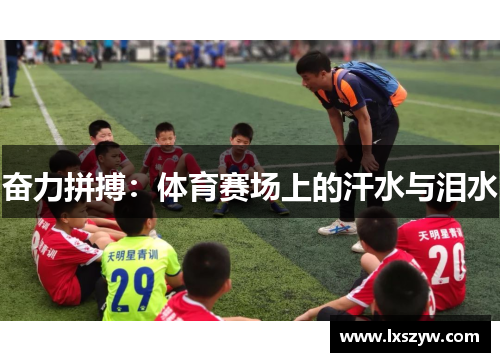奋力拼搏：体育赛场上的汗水与泪水